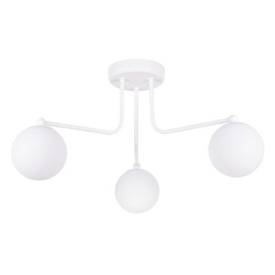 Biely luster TAME 3