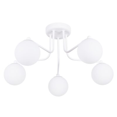 Biely luster TAME 5