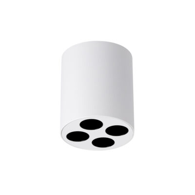 Biele LED stropné svietidlo VENI white