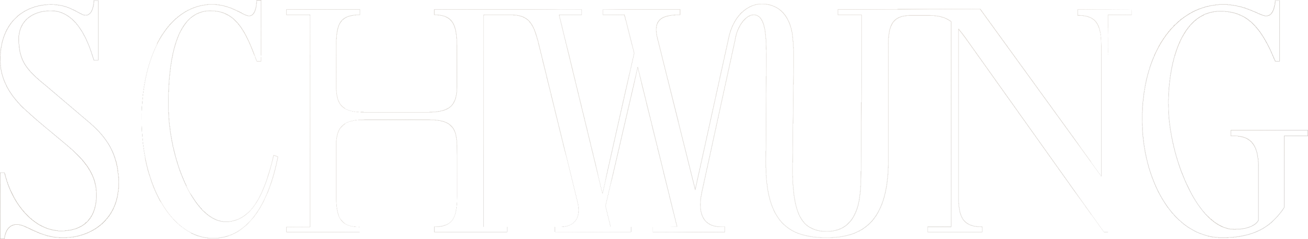 SCHWUNG